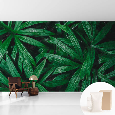 Papier peint intissé avec imprimé pour décoration intérieure pour rénovation a motif - Colle incluse gratuite Verdure naturelle 416x254 cm (1/5)