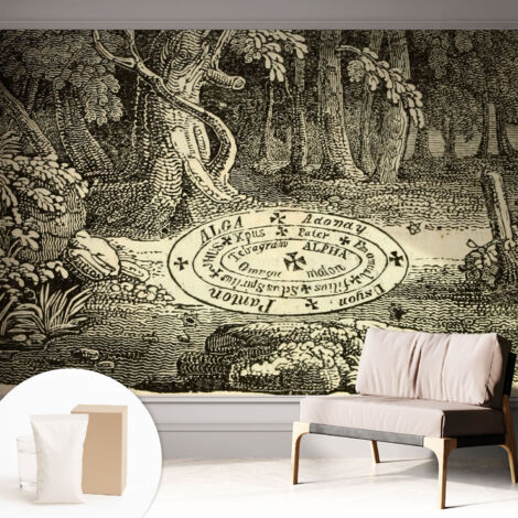 Papier peint intissé avec imprimé pour décoration intérieure pour rénovation a motif - Colle incluse gratuite Cercle magique 312x219 cm (1/5)