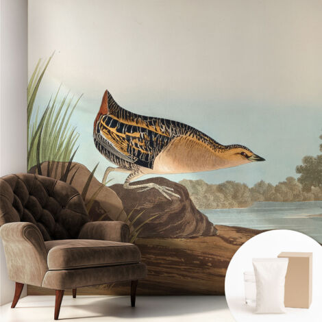 Papier peint intissé pour salon chambre à coucher peint imprimé Installation facile - Colle incluse gratuite Scène naturelle 250x250 cm (1/5)