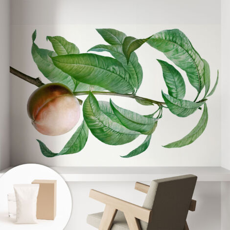 Papier peint intissé à motifs décoratifs pour salon chambre et bureau Décoration murale élégante avec colle Pêche mûre 104x70 cm (1/5)