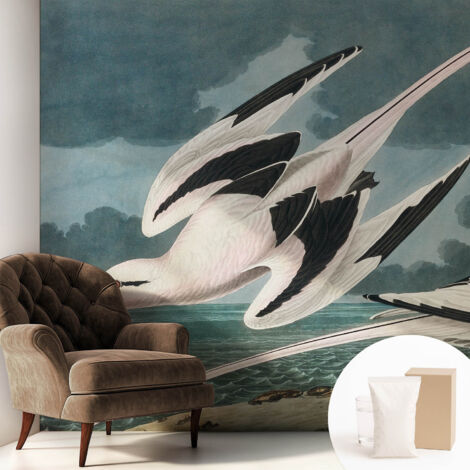 Papier peint intissé mural avec imprimé motifs décoratifs - style contemporain - Colle incluse gratuite Oiseaux au bord de la mer 250x250 cm (1/5)