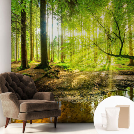Papier peint intissé décoratif pour chambre et salon Design moderne à poser facilement - Colle incluse gratuite Paysage verdoyant 250x250 cm (1/5)