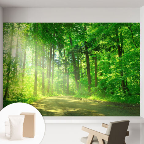 Papier peint intissé pour salon chambre à coucher peint imprimé Installation facile - Colle incluse gratuite Sentier forestier 152x104 cm (1/5)