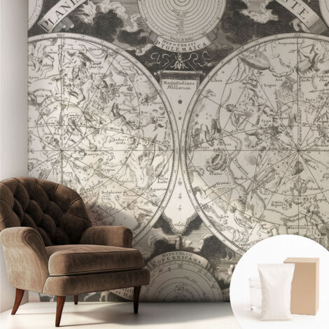 Papier peint intissé décoratif pour salon chambre et cuisine Facile à poser avec colle Carte stellaire 250x250 cm (1/5)