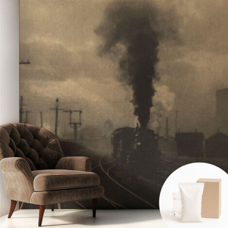 Papier peint intissé décoratif pour salon chambre et cuisine Facile à poser avec colle Paysage industriel 250x250 cm (1/5)