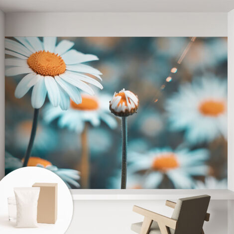 Papier peint intissé à motifs décoratifs pour salon chambre et bureau Décoration murale élégante avec colle Douceur de camomille 152x104 cm (1/5)