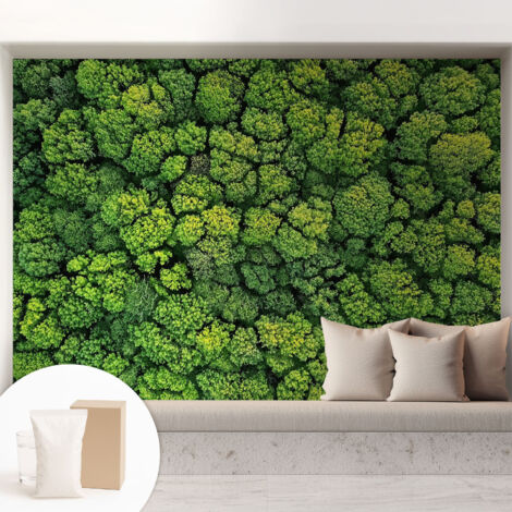 Papier peint intissé pour salon chambre à coucher peint imprimé Installation facile - Colle incluse gratuite Panorama forestier 208x146 cm (1/5)
