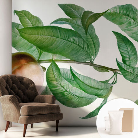 Papier peint décoratif avec colle pour salon, chambre à coucher et bureau – Design moderne et facile à poser Pêche mûre 250x250 cm (1/5)