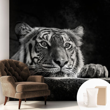 Papier peint intissé mural avec imprimé motifs uniques apparence moderne - Colle incluse gratuite Regard prédateur 250x250 cm (1/5)