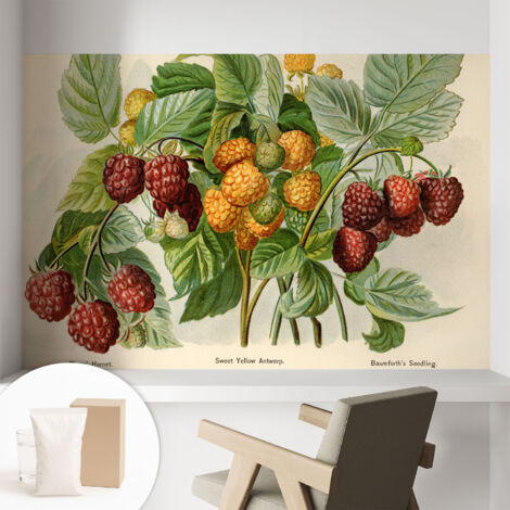 Papier peint intissé pour salon chambre à coucher peint imprimé Installation facile - Colle incluse gratuite Framboises classiques 104x70 cm (1/5)