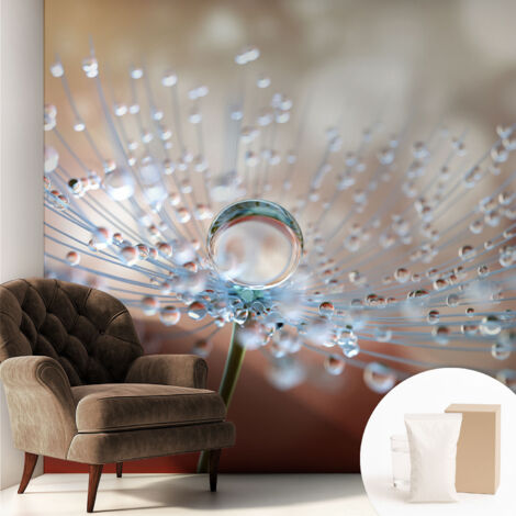 Papier peint intissé décoratif pour salon chambre et cuisine Facile à poser avec colle Goutte sur une fleur de pissenlit 250x250 cm (1/5)