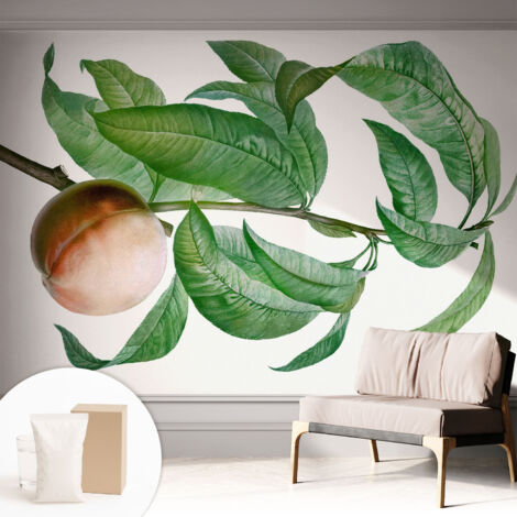 Papier peint décoratif avec colle pour salon, chambre à coucher et bureau – Design moderne et facile à poser Pêche mûre 312x219 cm (1/5)