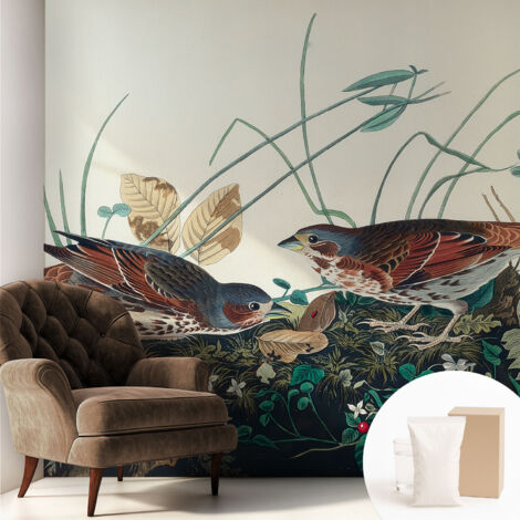 Papier peint intissé mural classique avec imprimé motifs décoratifs design élégant non‑tissé Charme de la nature 250x250 cm (1/5)
