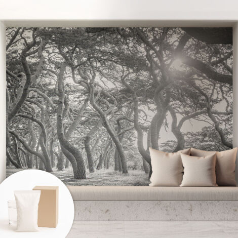 Papier peint intissé avec imprimé pour décoration intérieure pour rénovation a motif - Colle incluse gratuite Forêt atmosphérique 208x146 cm (1/5)