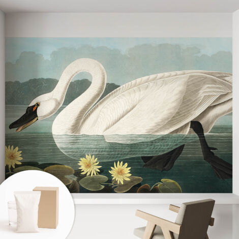 Papier peint intissé avec imprimé pour décoration intérieure pour rénovation a motif - Colle incluse gratuite Cygne et nénuphars 152x104 cm (1/5)