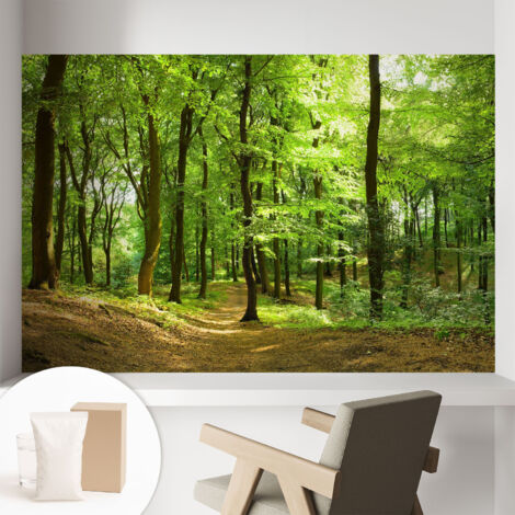 Papier peint intissé classique moderne pour salon et chambre à coucher Décoration rapide avec colle Sentier naturel 104x70 cm (1/5)