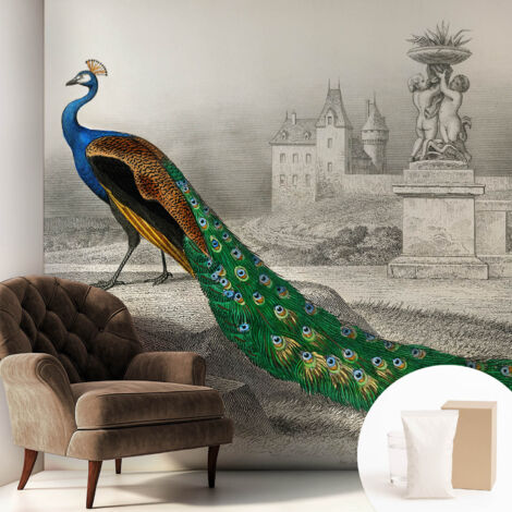 Papier peint intissé pour salon chambre à coucher peint imprimé Installation facile - Colle incluse gratuite Plumes colorées 250x250 cm (1/5)