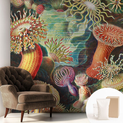 Papier peint intissé pour salon chambre à coucher peint imprimé pour mur - Colle incluse gratuite Anémones fantaisistes 250x250 cm (1/5)