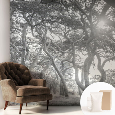 Papier peint intissé avec imprimé pour décoration intérieure pour rénovation a motif - Colle incluse gratuite Forêt atmosphérique 250x250 cm (1/5)