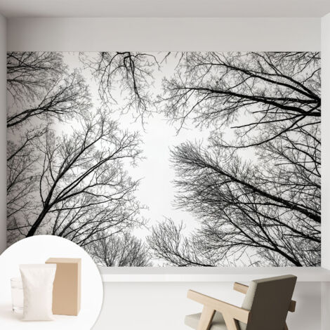 Papier peint intissé décoratif avec motifs pour salon et chambre a motif - Colle incluse gratuite Branches nues 152x104 cm (1/5)