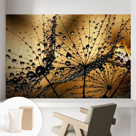 Papier peint intissé avec imprimé pour décoration intérieure pour rénovation a motif - Colle incluse gratuite Gouttes délicates 104x70 cm (1/5)