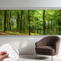 Papier peint adhésif décoratif avec colle pour salon chambre et bureau Installation rapide Sentier naturel 250x104 cm