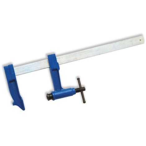 Revex – Serre-joint à pompe 800 mm – Capacité de serrage 650 kg – Acier – Saillie 100 mm – Pour assemblage précis de pièces