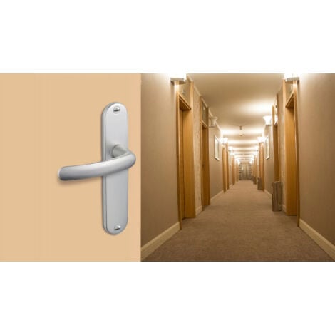 Poignées de porte Budget avec plaque en argent, entraxe 165 mm, bec de canne