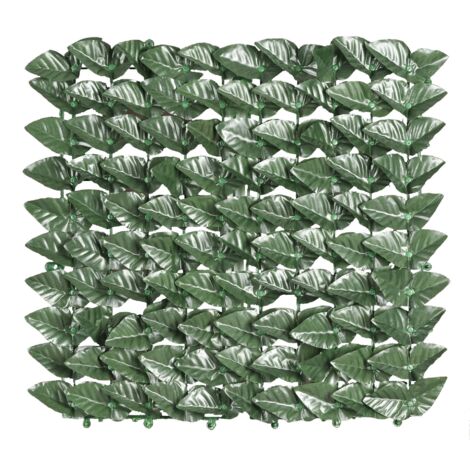 Arelle SemperVerdi Lauro MT. 1,00 x 20