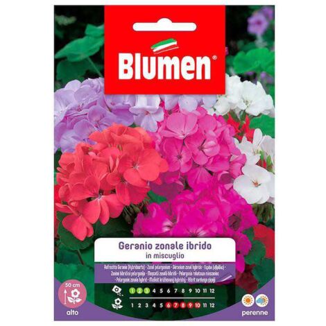 Semillas de geranio mixtas zonales híbridas en bolsa.