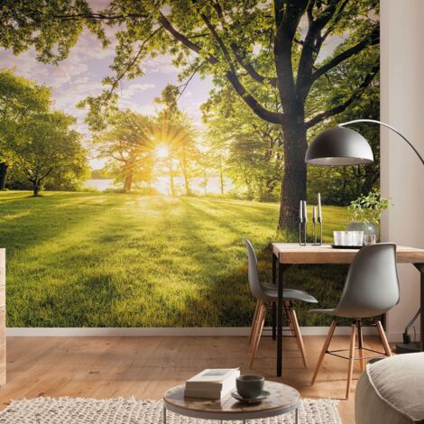 Furniture Limited - Papier peint photo Golden Moment 400x250 cm