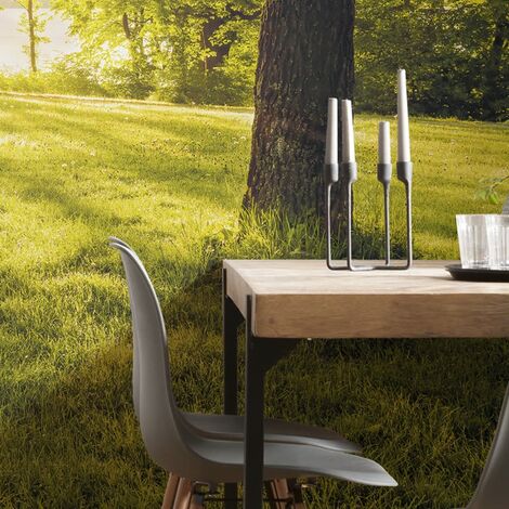 Furniture Limited - Papier peint photo Golden Moment 400x250 cm