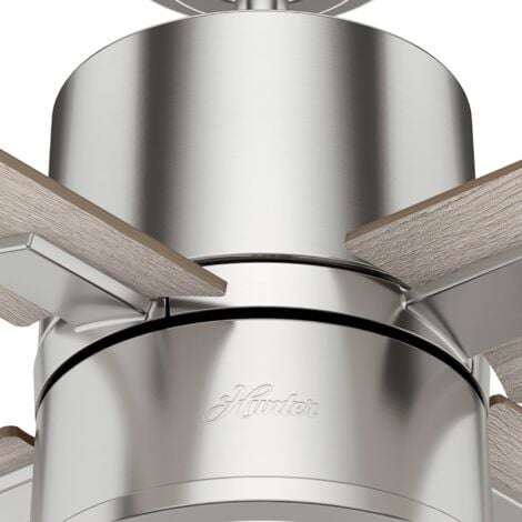 Ceiling Fan Beck with Lights and Remote