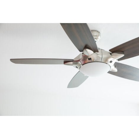 Ceiling Fan Mercury with Light