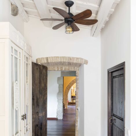 Ceiling Fan Chicago with Light and Remote