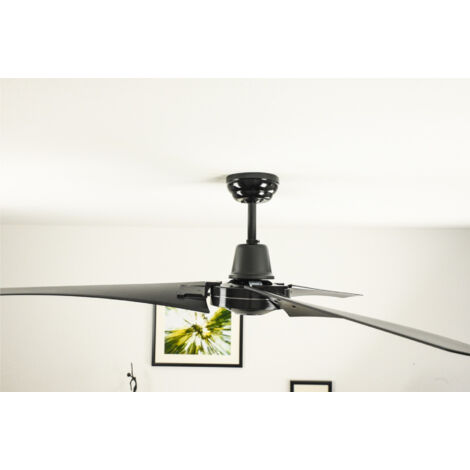 Ceiling Fan Vourdries Black