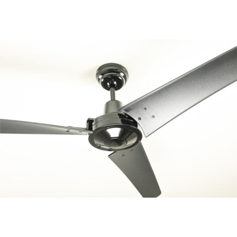 Ceiling Fan Vourdries Black