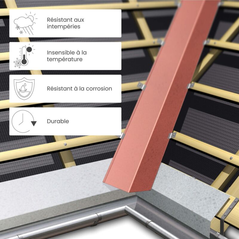 Tôle De Rive Aluminium 200cm Avec Gouttière - Évacuation Eau Toiture - Protection étanchéité Toit - 0,8mm