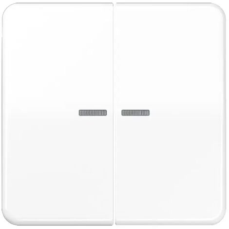 Jung Wippe 2fach, mit Lichtleiter, Duroplast, Serie CD, alpinweiß CD 595 KO5 WW (1/2)