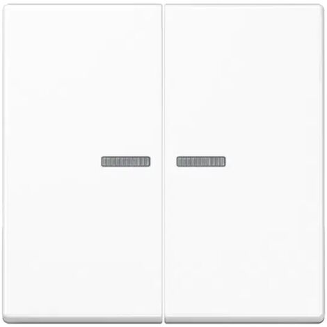 Jung Wippe 2fach, mit Lichtleiter, Duroplast, Serie A, alpinweiß A 595 KO5 WW (1/2)