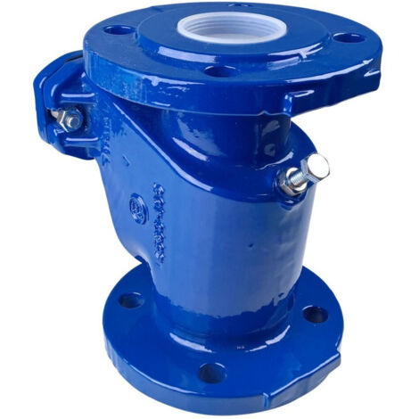 Grundfos Rückschlagklappe DN 65, PN 10, Grauguss (1/2)
