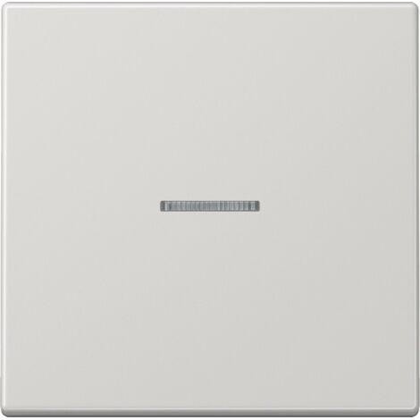 Jung Wippe 1fach, mit Lichtleiter, Duroplast, Serie LS, lichtgrau LS 990 KO5 LG (1/4)
