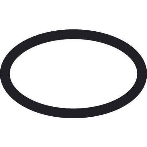 hansgrohe O-Ring 21x2mm EPDM 70 InfrarotHD