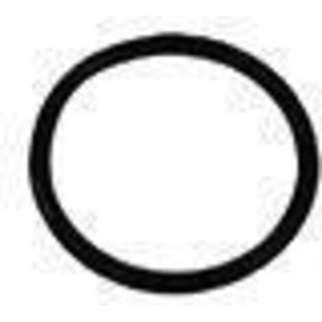 -Ersatzteil O-Ring 22 X 2