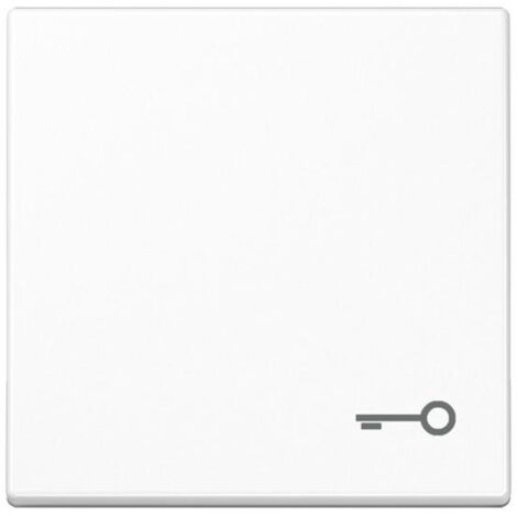 Jung Wippe 1fach, Symbol Tür, Duroplast, Serie A, alpinweiß A 590 T WW (1/3)