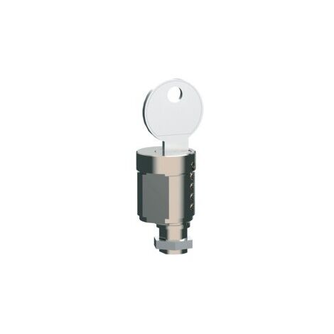 Serrure clef Ronis (P160-P250) - APPAREILLAGE DE TETE HAGER HXS999H (1/2)