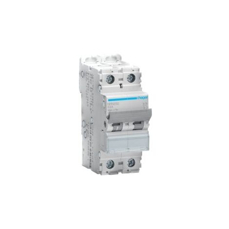 Disj.2P 15kA C-50A 2m - DISJONCTEURS MULTI. HAGER NRN250 (1/2)
