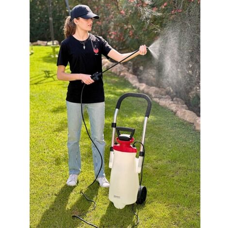 Pulvérisateur électrique ROLLER SPRAYER + Nettoyant Extérieures 10 L