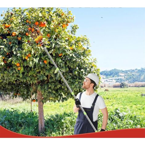 Cueille-fruit Télescopique 4m - Perche Réglable Avec Sac, Pour Oranges, Pêches, Cerises