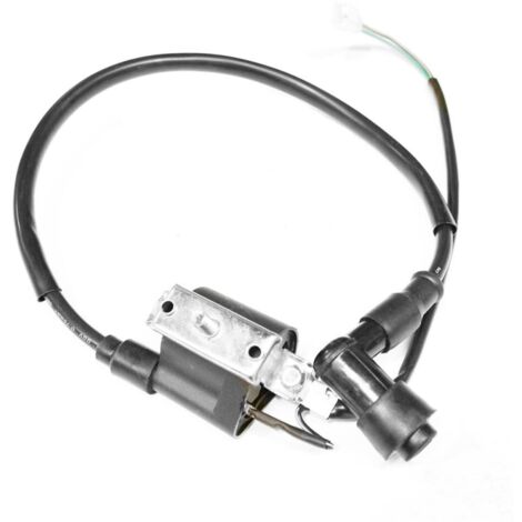 Bobina de encendido para moto (1/2)